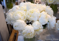 SnowMountain, not hard to get why it is called like that. Big as a mountain and white as snow.